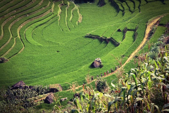 vista aerea de campos e arroz en sapa, algunas personas caminando en un sendero - weroad