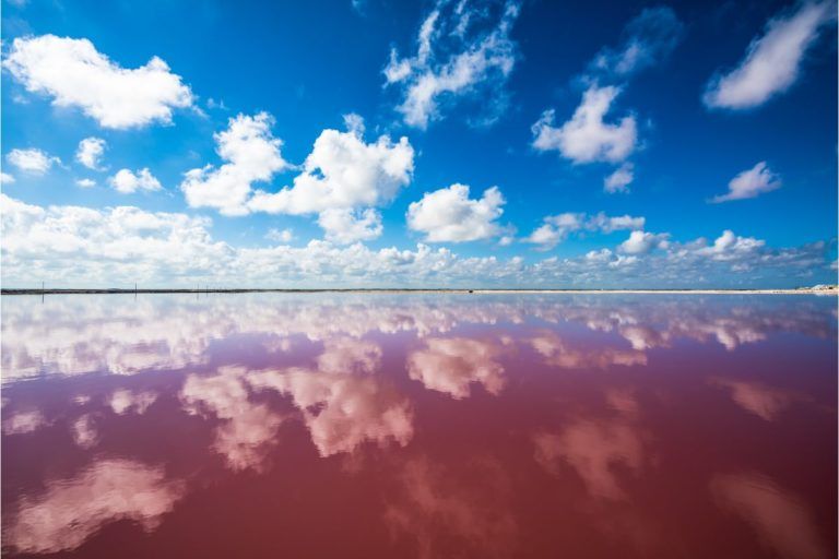 laguna de agua salada de color rosado y cielo azul con nubes en yucatan, - weroad