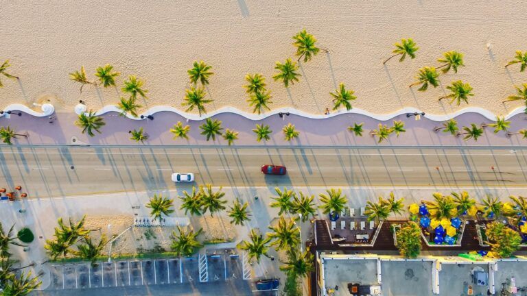 playa con palmeras y carretera costera de miami fotografiadas de forma zenital - weroad