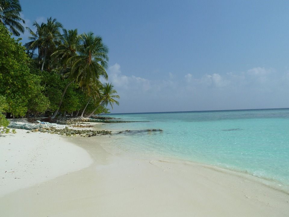 playa de ukulhas con agua cristalina y palmeras - weroad