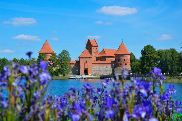 castillo de trakai con delante flores lila y agua - weroad