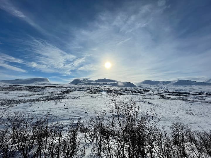 paisaje con nieve y ramas de arboles en primer plano en abisko, suecia - weroad
