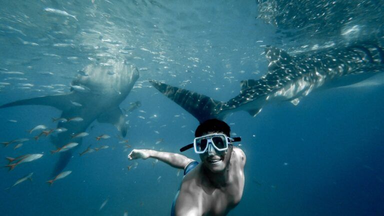 chico con gafas de snorkelling, bajo el agua y con detrás dos tiburones y más peces - weroad
