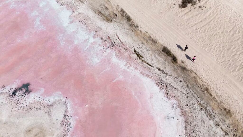 vista aerea del pink lake en oman, dos personas caminando en la orilla - weroad