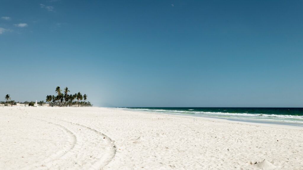 playa de salalah, palmeras, mar y arena - weroad