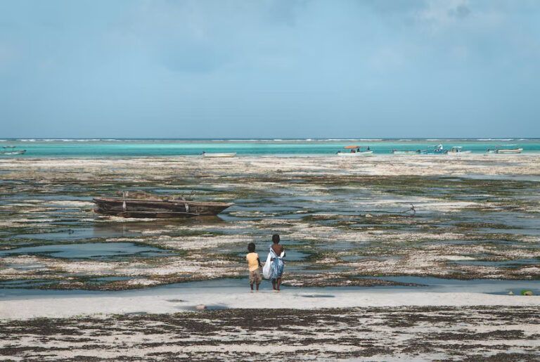 dos personas de espaldas caminando en una playa con baja marea en jambiani - weroad