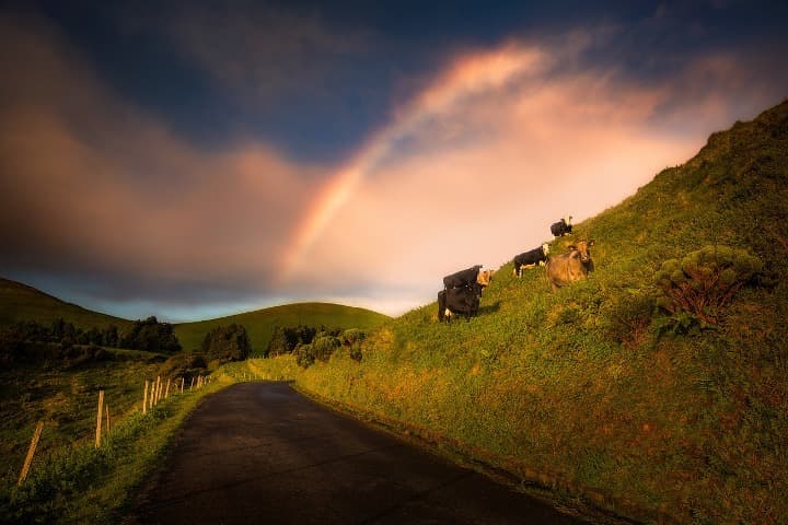 calle de azores en medio de la naturaleza, al fondo cielo con arco iris - weroad