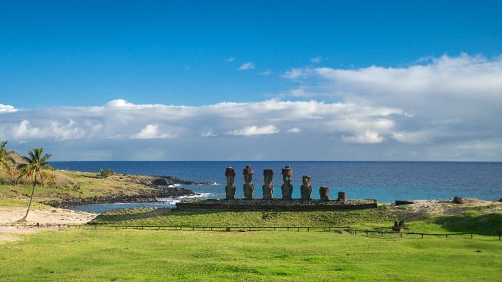 moai mirando hacia el interior de la isla y detrás mar. palmeras y cesped en la playa de anakena - weraod