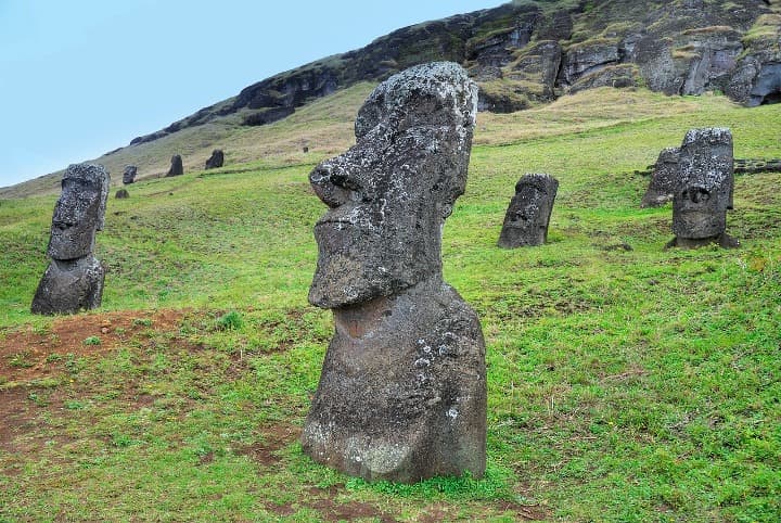 estatuas moai en medio de cesped, algo que ver en la isla de pascua