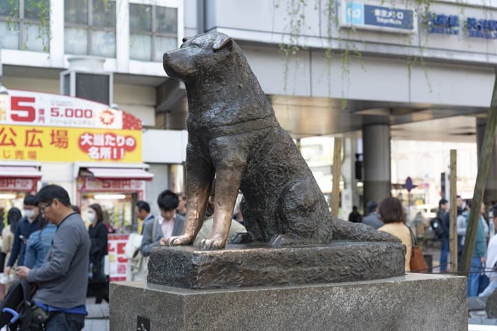 estatua de Hachiko en tokio, detrás una plaza con gente - weroad