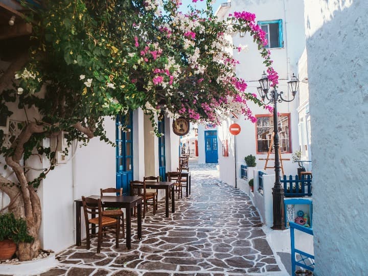 calle con sillas y mesas de restaurante y un arbol con flores rosa en un destino de grecia