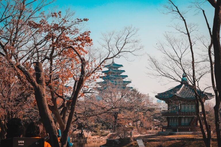 ciudad de seul en corea con edifcios tipicos y arboles con hojas anaranjadas, un destino para un año nuevo en el mundo peculiar