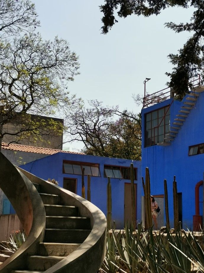edificio azul con cactus y una escalera delante, la casa de frida khalo, algo que ver en ciudad de mexico