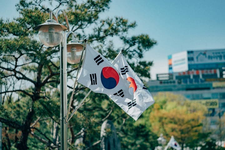 banderas de corea del sur y detrás árboles