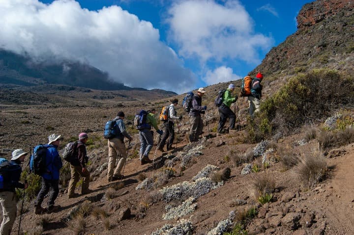personas realizando trekking en el kilimanjaro