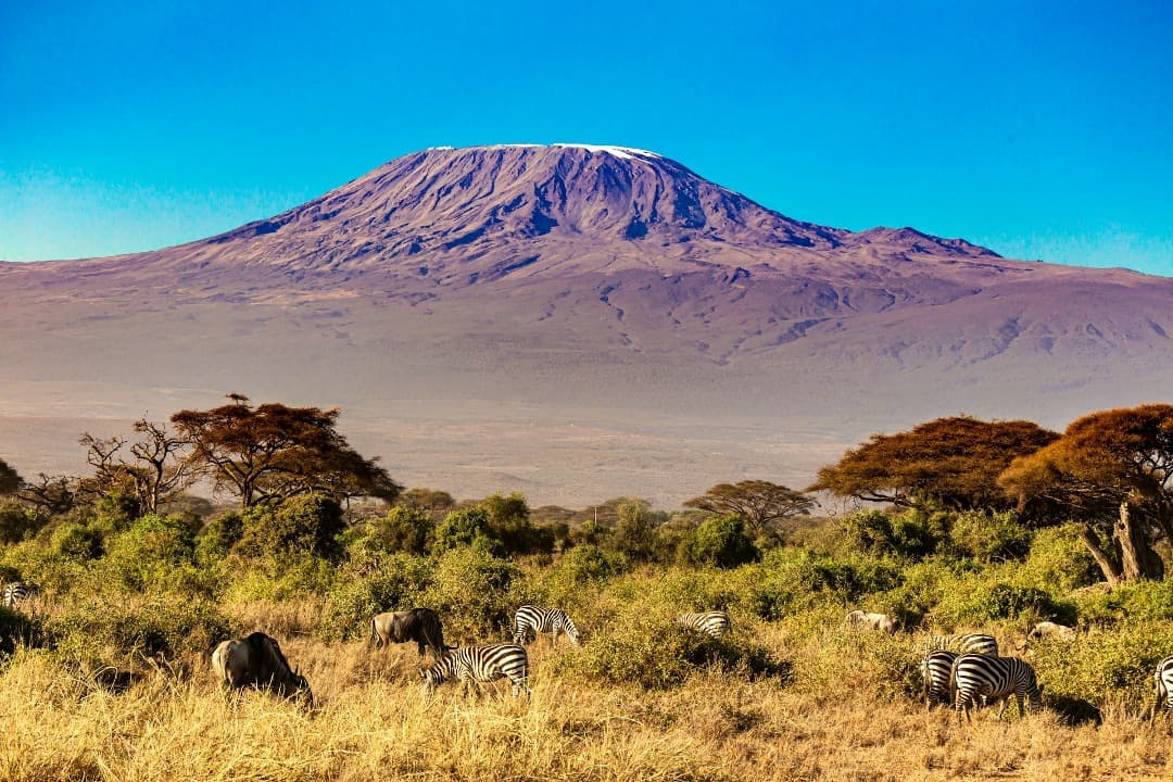 Trekking al Kilimanjaro: cómo prepararse para una aventura única