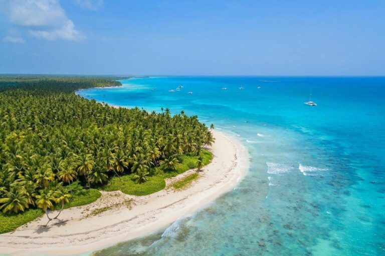 costa con mar azul y vegetación frondosa en republica dominicana
