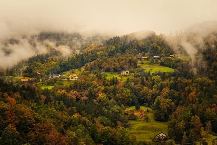 bosque con niebla en lasko, algo que ver en eslovenia