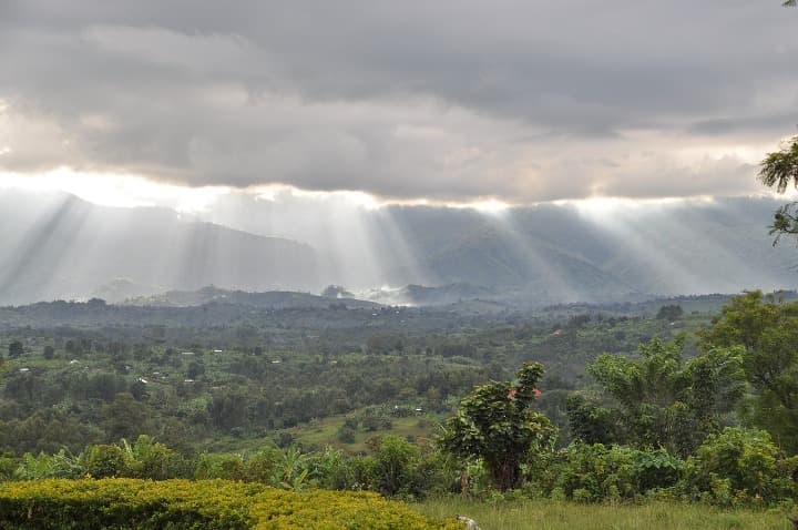 montañas y naturaleza verde en rwenzori