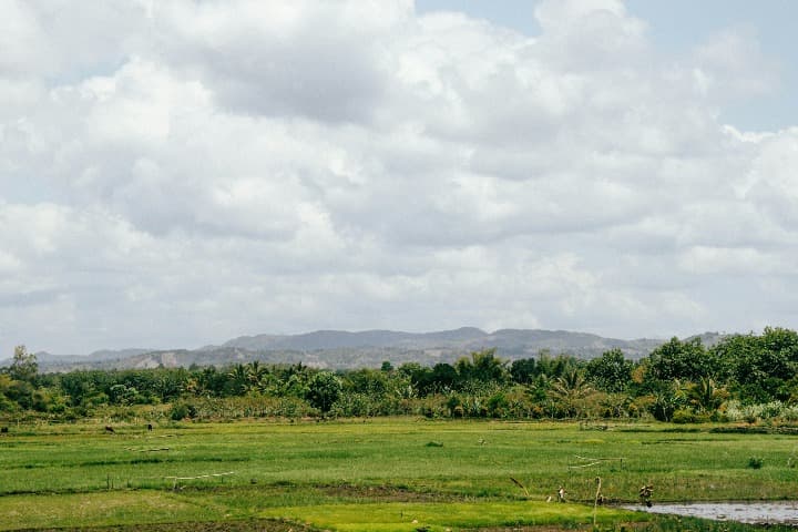 zona verde con rio y montañas al fondo en Tamatave, destino que ver en madagascar