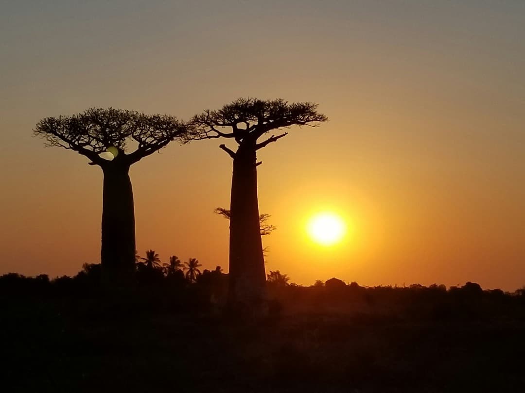 Qué ver en Madagascar, donde la naturaleza reina sin igual