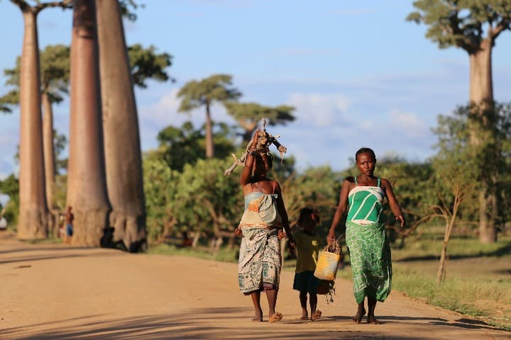 dos mujeres y una niña caminando en un sendero con árboles tipicos de madagascar detrás