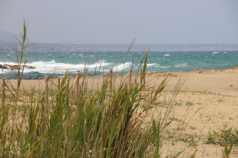 playa de malia, arbustos