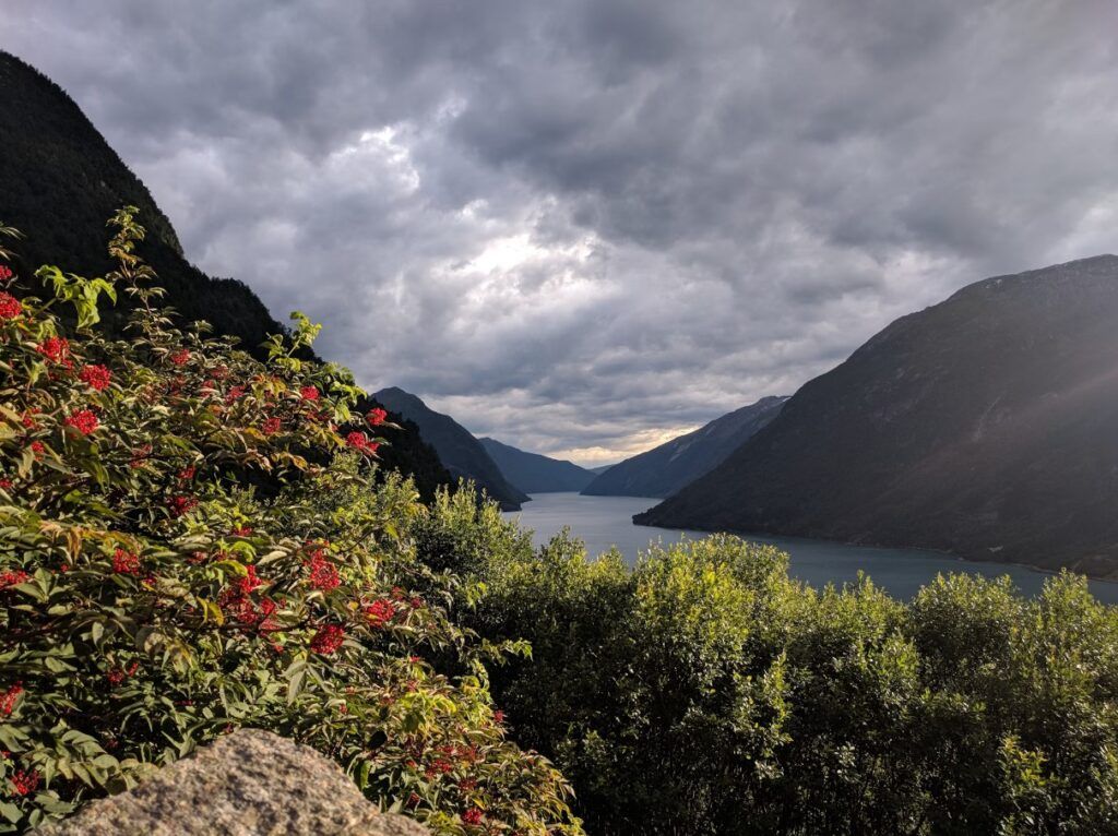 vista de sognefjord, uno de los fiordos noruegos que visitar