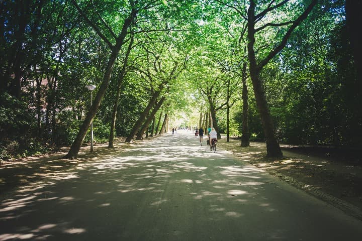 personas en bici en el interior del Vondelpark, un parque que ver en amsterdam