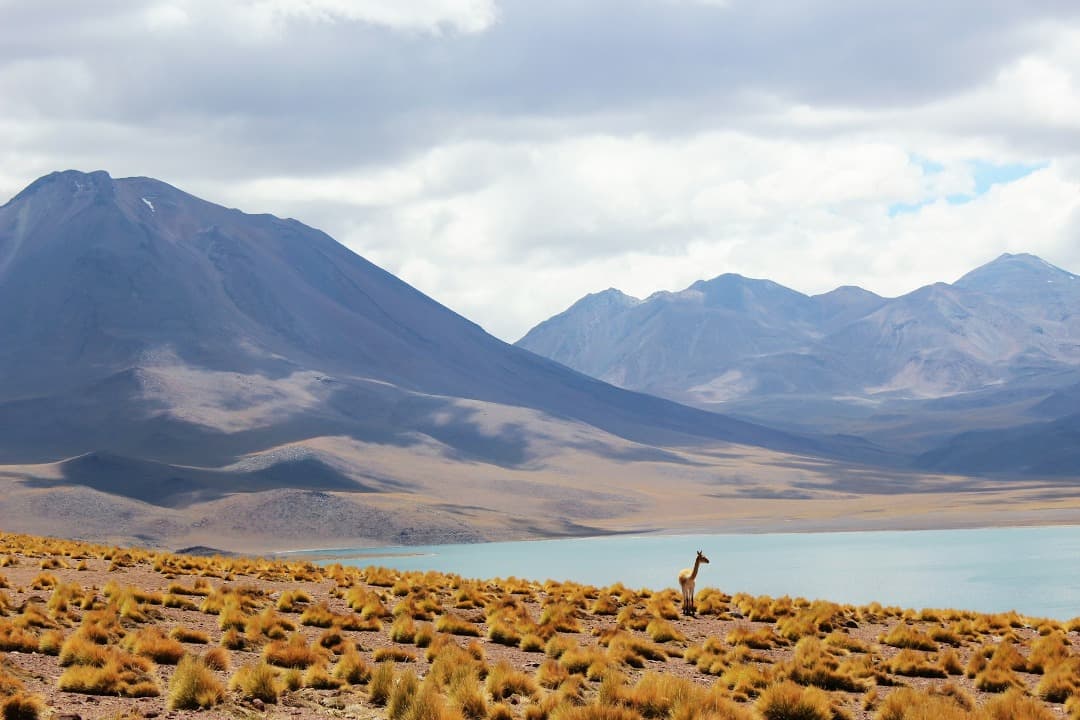 Qué ver en Chile, un viaje entre glaciares y géiseres