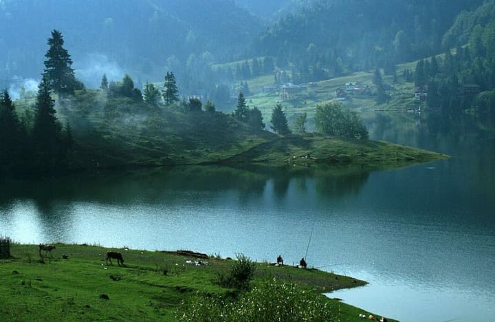 paisaje natural, personas pescando y arboles en ambiente con niebla, en Bistrița