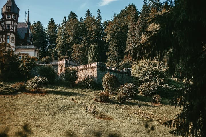 muralla del castillo de peles, en transilvania, árboles alrededor