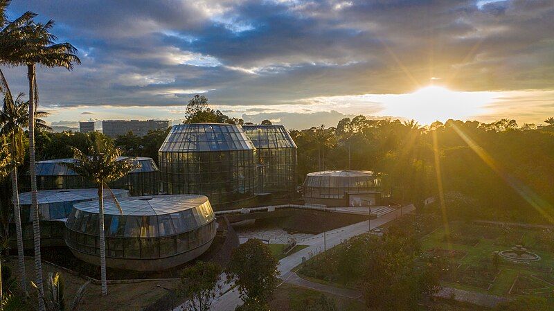 jardin tropical, sol al fondo y estructuras con plantas y árboles en el interiór que ver en bogotà