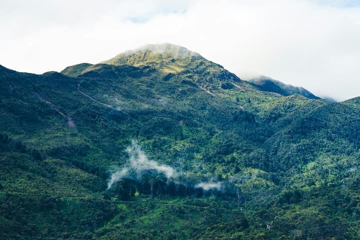 montaña de bogotà, montserrate, con vegetación florida