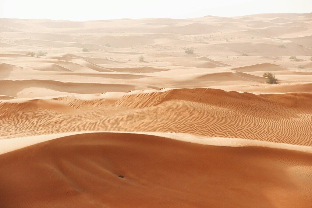 Dunas onduladas del desierto al amanecer, con tonos cálidos y suaves sombras.