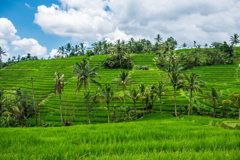 Visado Indonesia: Lo que necesitas saber antes de viajar