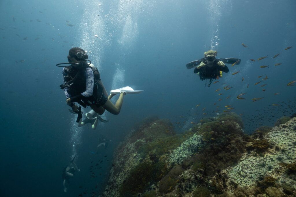 Dos buceadores explorando un arrecife con peces tropicales en las aguas profundas de Koh Tao, Tailandia.